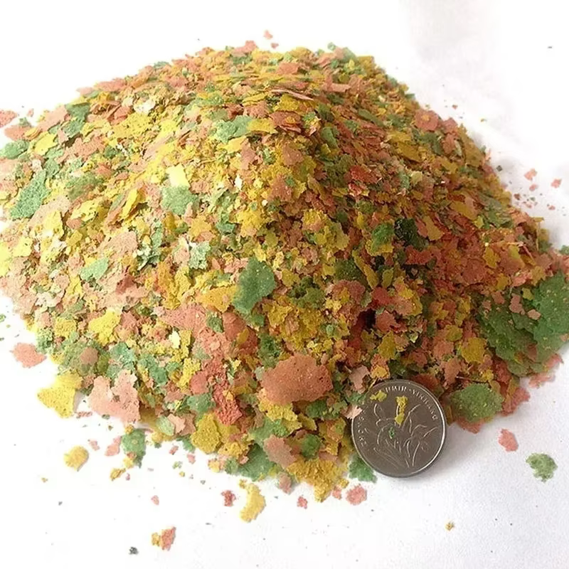 Pastilles de fond