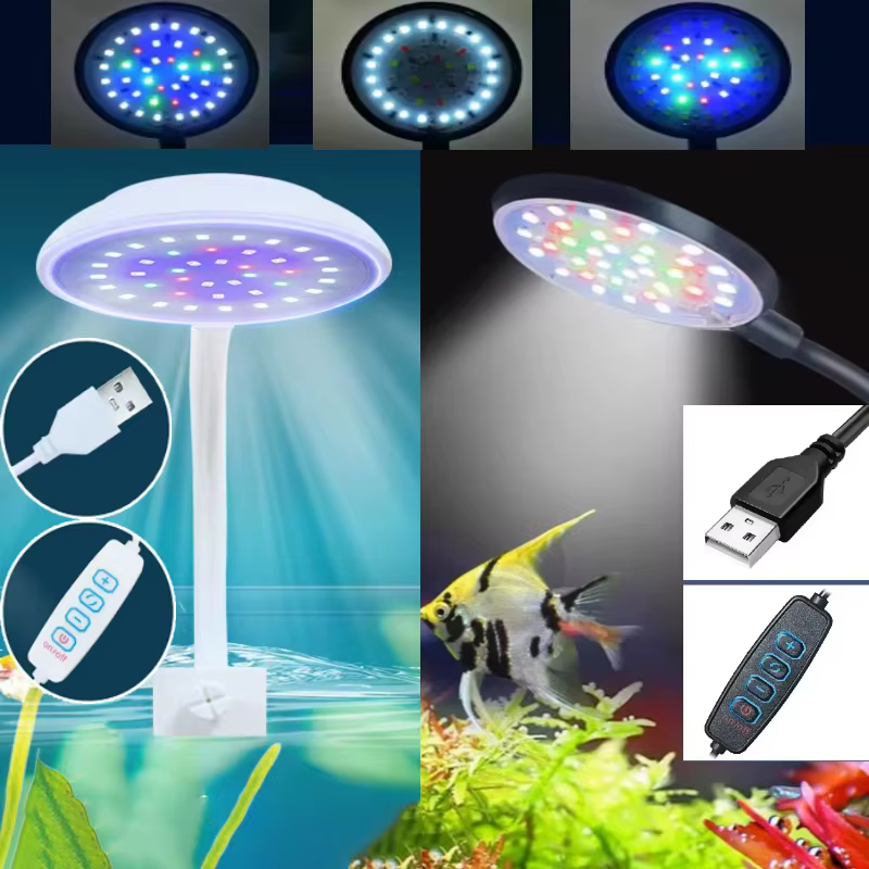 Rampe LED — 2 couleurs
